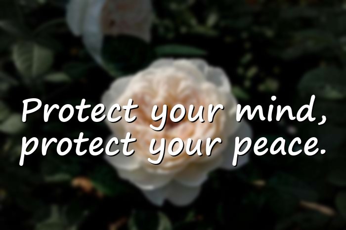 peace of mind quotes - 1