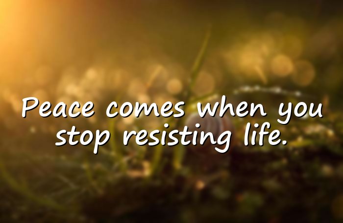 peace quotes - 21