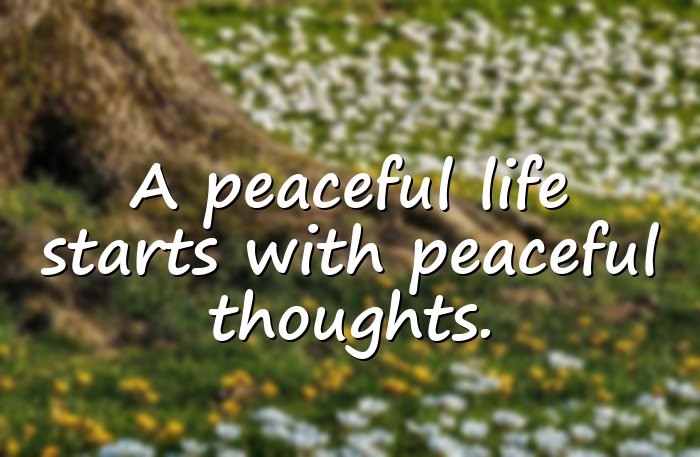 peace quotes - 6