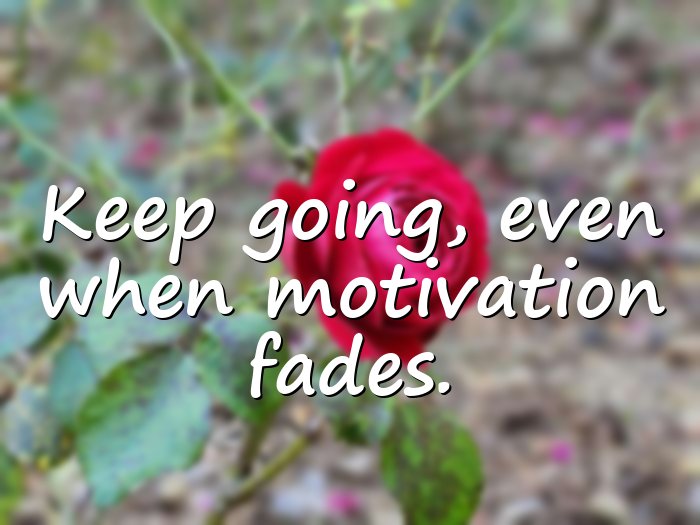 perseverance quotes - 21
