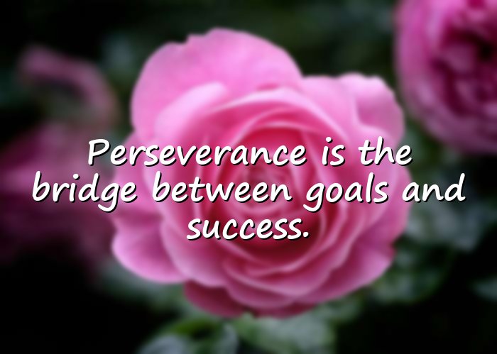 perseverance quotes - 16