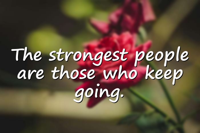 perseverance quotes - 11