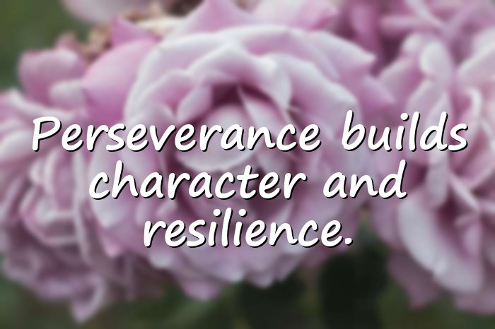perseverance quotes - 6