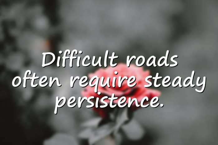 perseverance quotes - 21