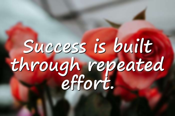 perseverance quotes - 16