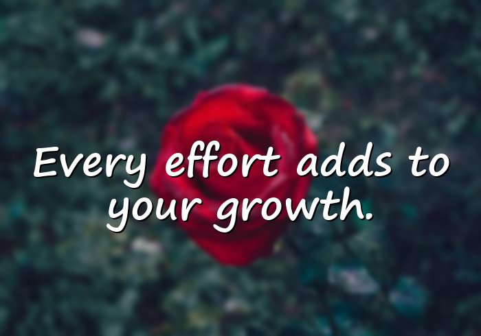 perseverance quotes - 11