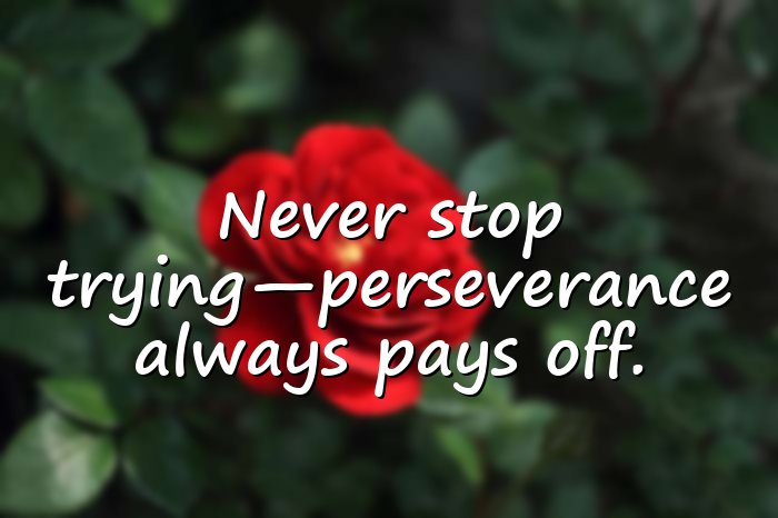 perseverance quotes - 1