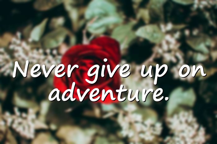 peter pan quotes - 1