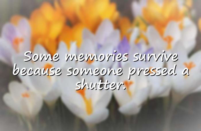 photography quotes - 21