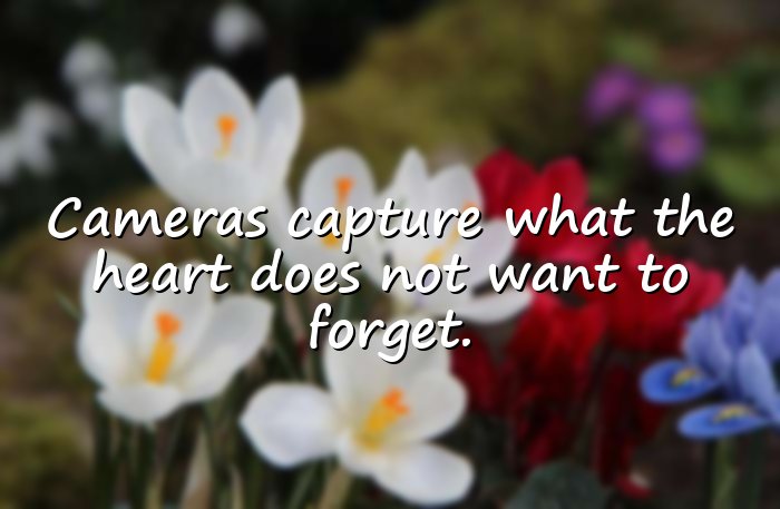 photography quotes - 16