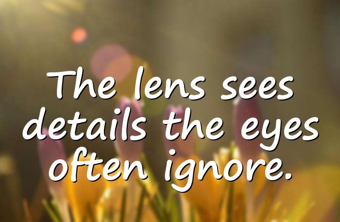 photography quotes - 11