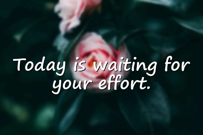 positive good morning quotes - 16