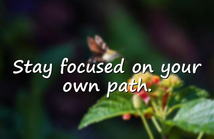 powerful motivational quotes - 16