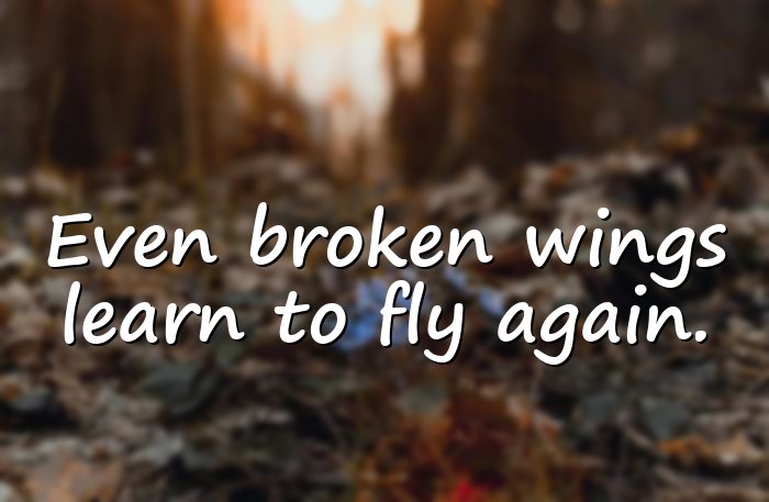 powerful quotes - 6