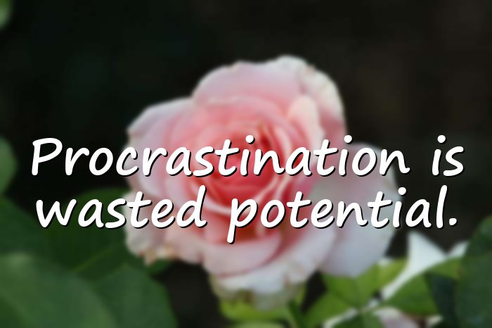 procrastination quotes - 1