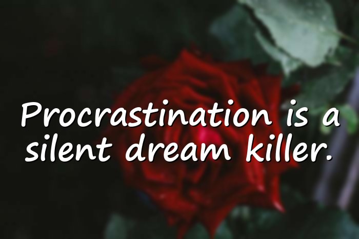 procrastination quotes - 16