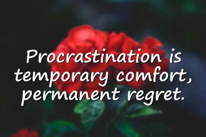 procrastination quotes - 6