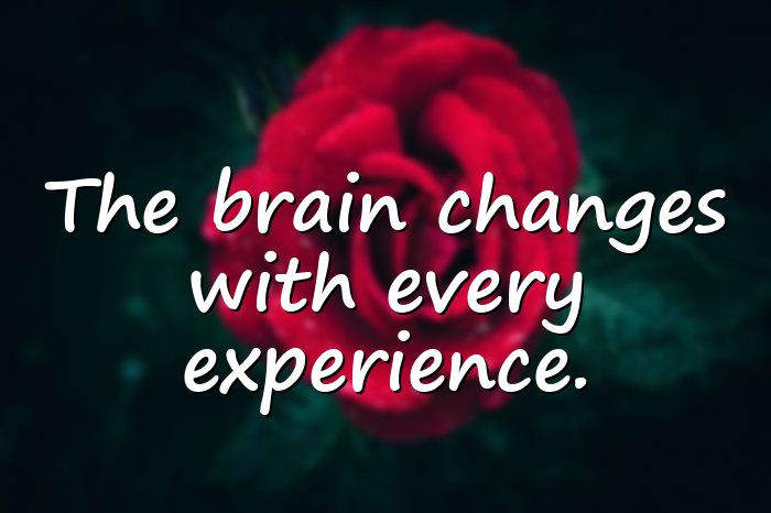 psychology quotes - 1