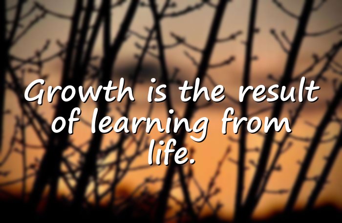 quotes about life lessons - 6