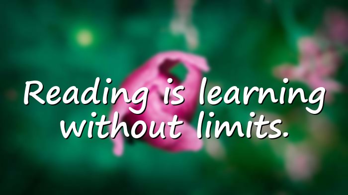quotes about reading - 16
