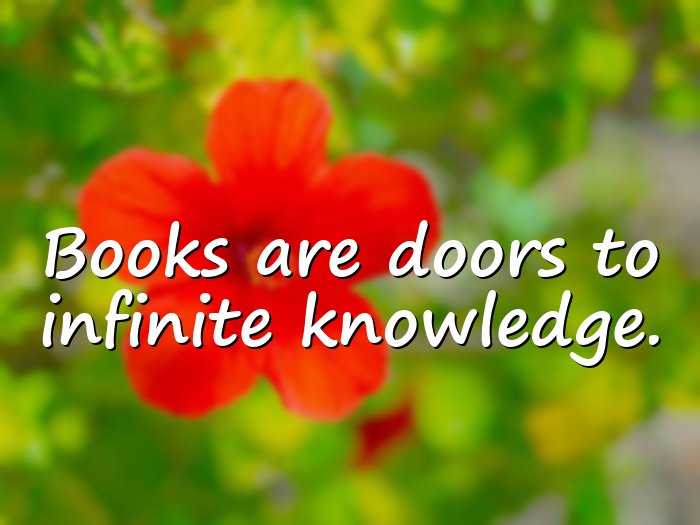 quotes about reading - 6