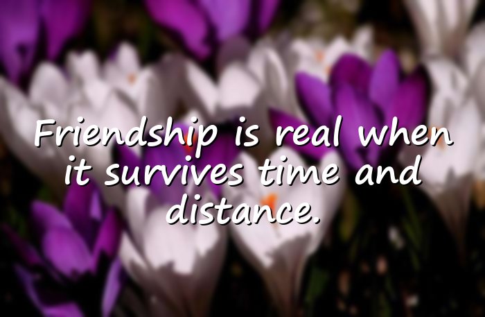 real friends quotes - 21