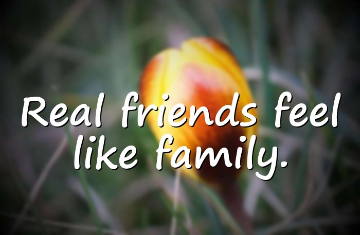 real friends quotes - 16
