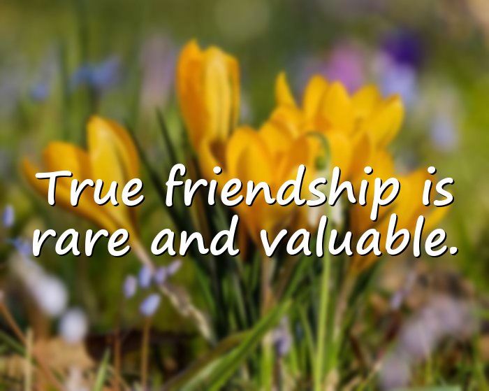 real friends quotes - 6