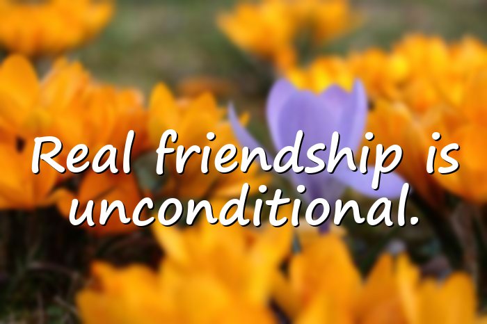 real friends quotes - 21