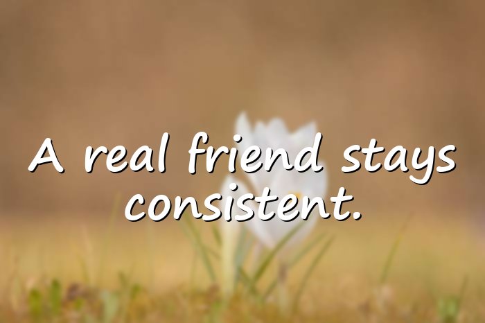 real friends quotes - 16