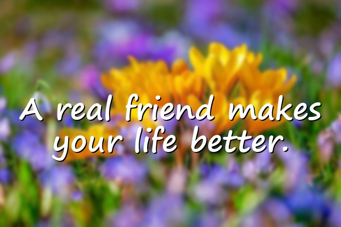 real friends quotes - 11