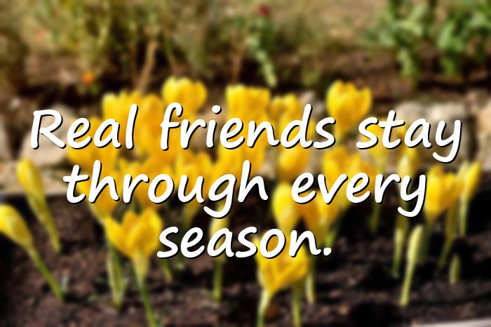 real friends quotes - 6