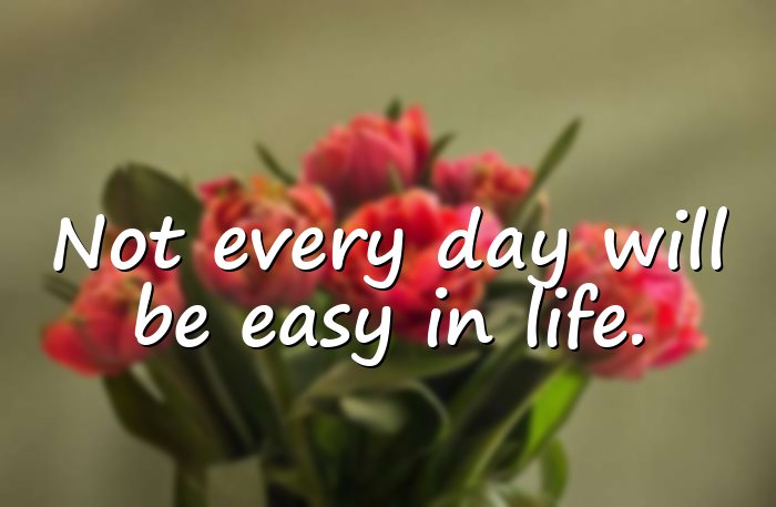 real life quotes - 11