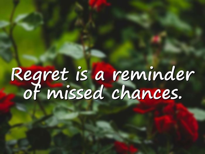regret quotes - 21