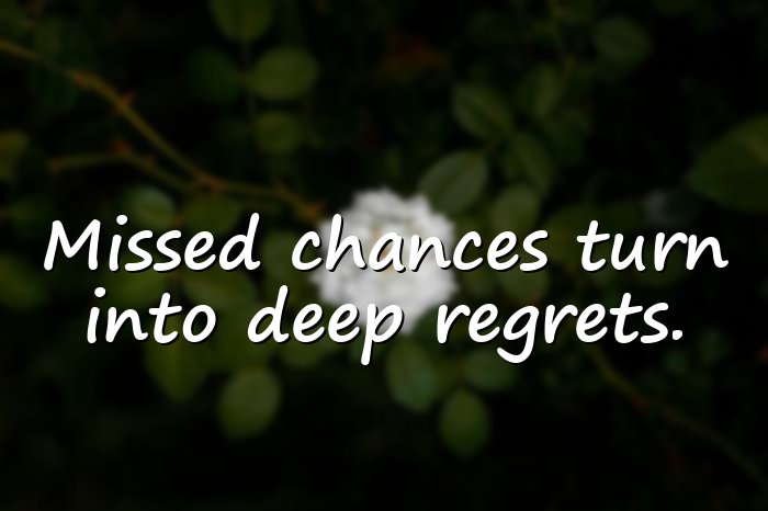 regret quotes - 11