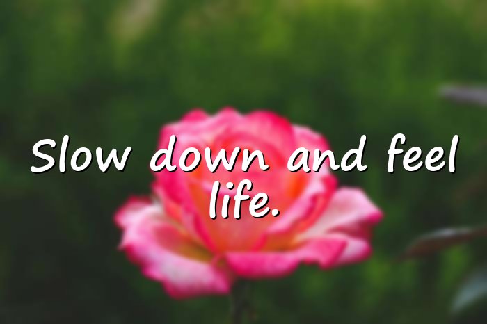 relaxing quotes - 6