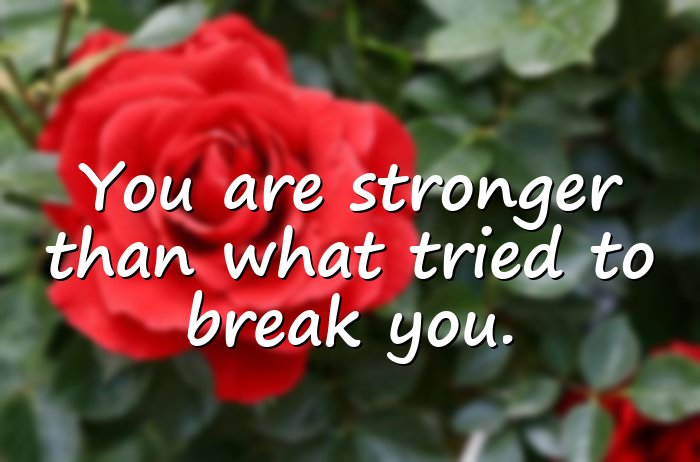 resilience quotes - 16