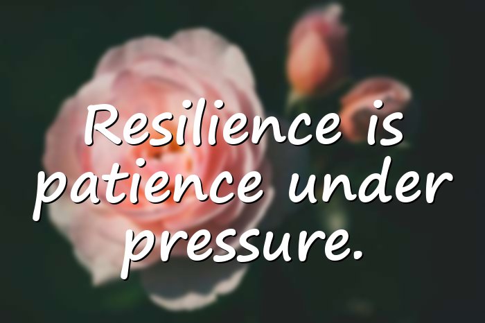 resilience quotes - 11
