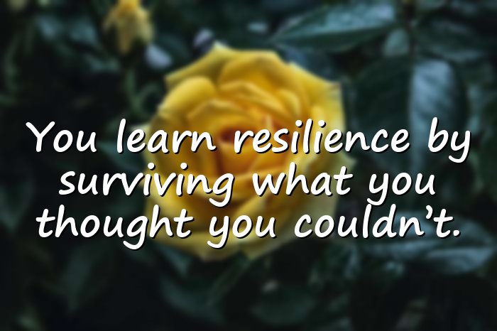 resilience quotes - 6