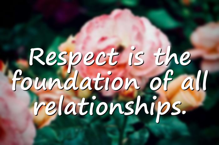 respect quotes - 21