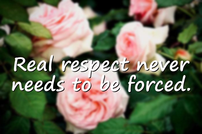respect quotes - 16