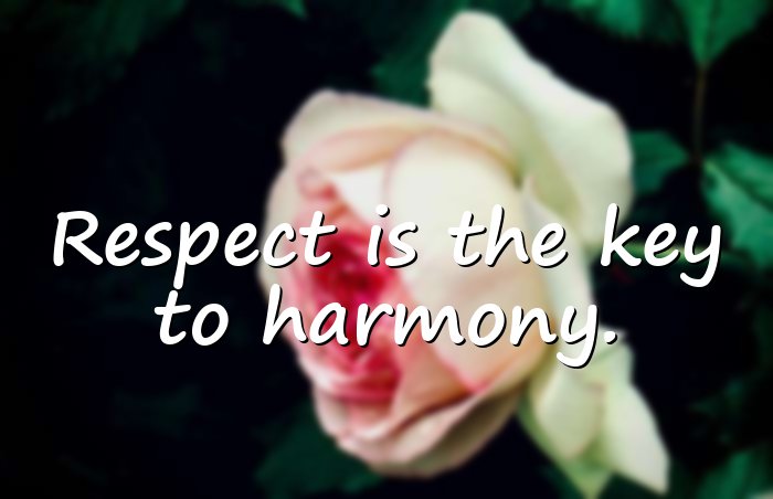 respect quotes - 11