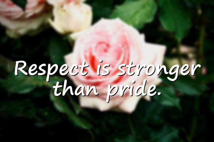 respect quotes - 6