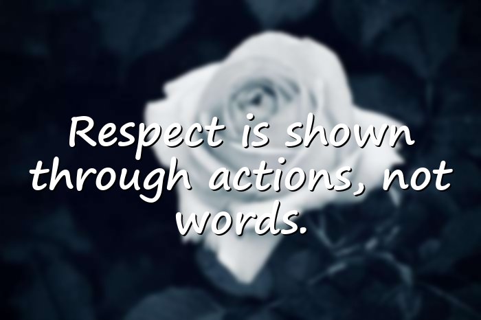 respect quotes - 16