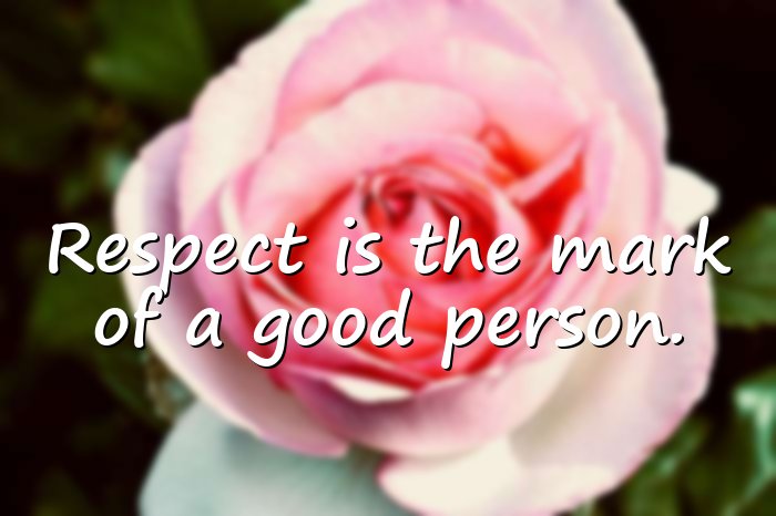 respect quotes - 11