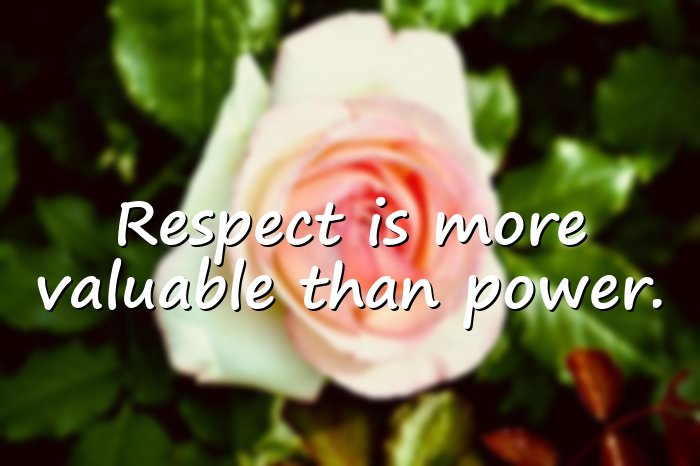 respect quotes - 6