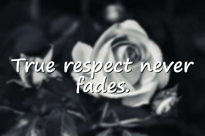 respect quotes - 1