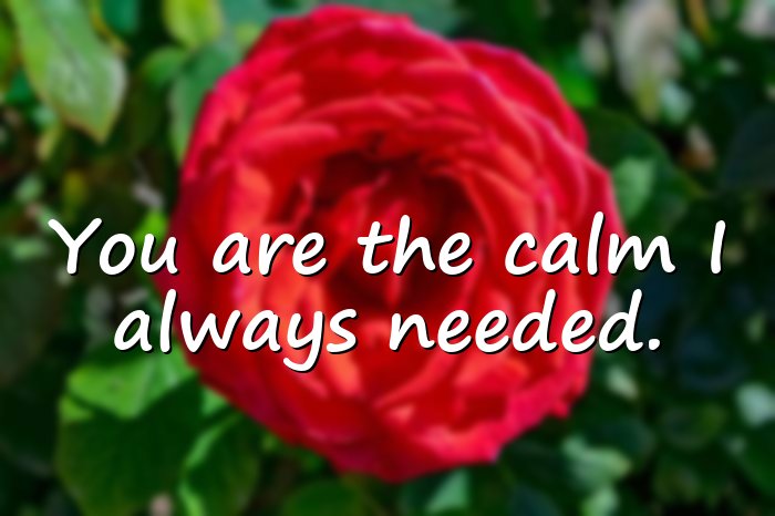 romantic quotes - 11