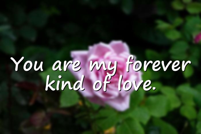 romantic quotes - 1