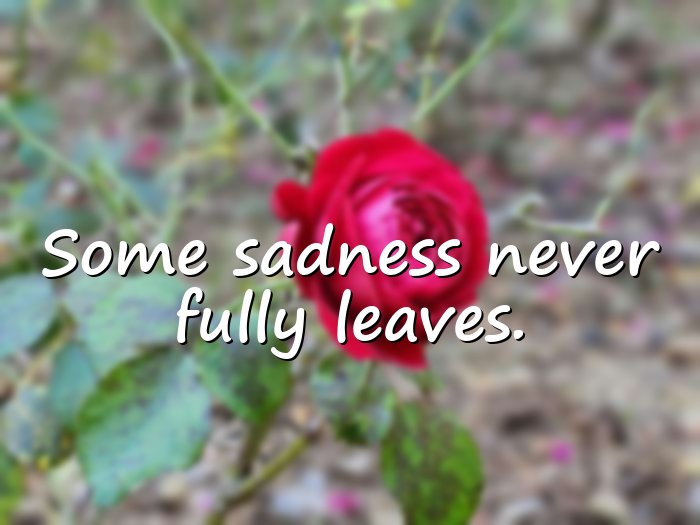 sad quotes - 16